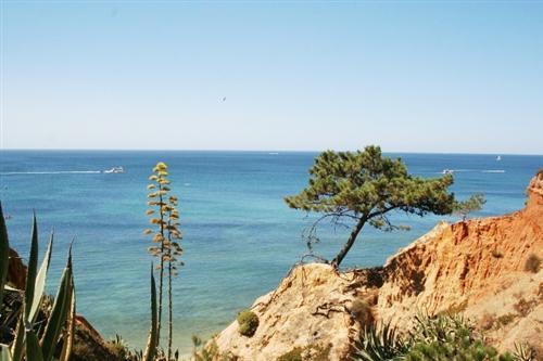 Apartamento Almerinda Albufeira Eksteriør bilde